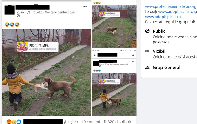 Shrine coffee design UPDATE! Cazul pisicii maltratate nu e "din Vaslui". Polițiștii i-au găsit pe vinovați - Vremea noua - Liderul presei vasluiene Shrine coffee design UPDATE! Cazul pisicii maltratate nu e "din Vaslui". Polițiștii i-au găsit pe vinovați - Vremea noua - Liderul presei vasluiene