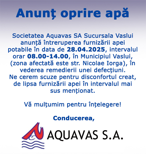 spot_img