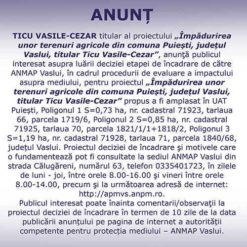 spot_img
