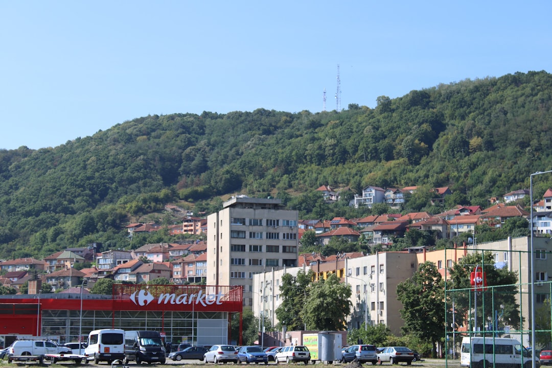 Concluzie